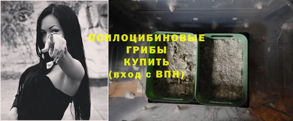 бутират Алексеевка