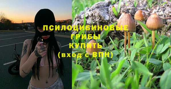 герыч Алзамай