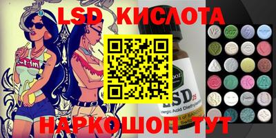 шишки Гай
