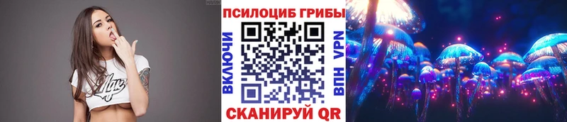 где можно купить Всеволожск Псилоцибиновые грибы прущие грибы