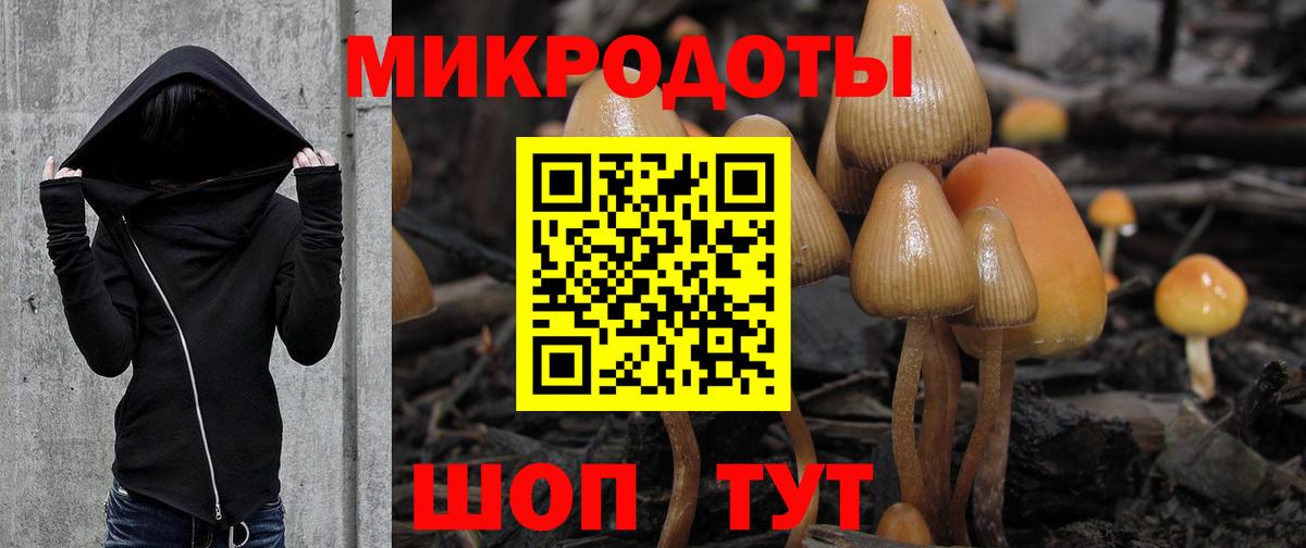 дарнет шоп  Псилоцибиновые грибы Magic Shrooms  Вход с VPN  Всеволожск 